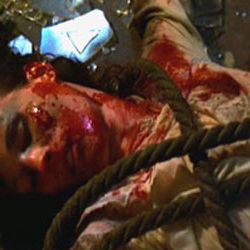 Bilder Freitag der 13.