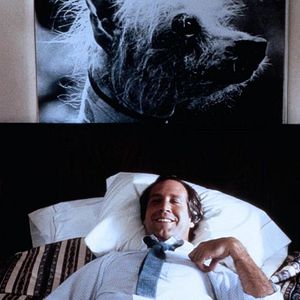 Bilder Fletch - Der Troublemaker