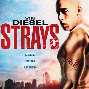 Bilder Strays - Lebe dein Leben