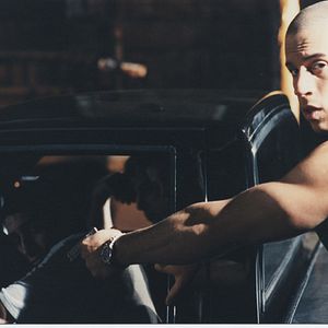 Bilder Strays - Lebe dein Leben