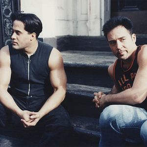 Bilder Strays - Lebe dein Leben