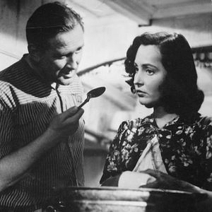 Bilder Unter den Brücken