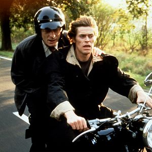 Bilder In weiter Ferne, so nah!