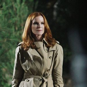 Bilder Marcia Cross