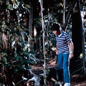 Bilder Der Flug des Navigators