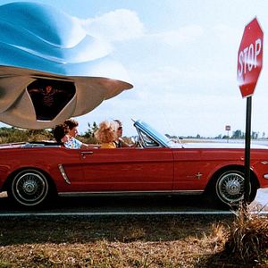 Bilder Der Flug des Navigators