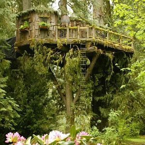 Bilder Trouble ohne Paddel 2