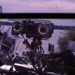 Bilder Nummer 5 lebt!