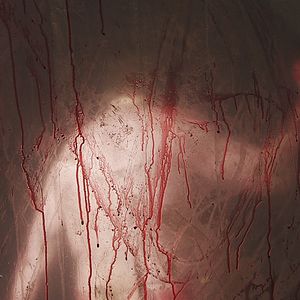 Bilder Toxic Lullaby