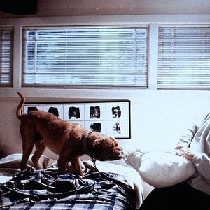 Bilder Scott & Huutsch