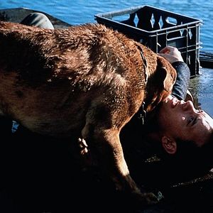 Bilder Scott & Huutsch