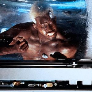 Bilder Wesley Snipes