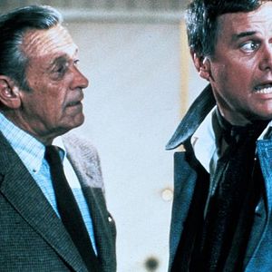 Bilder S.O.B. - Hollywoods letzter Heuler