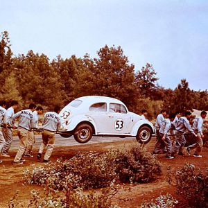 Bilder Ein toller Käfer