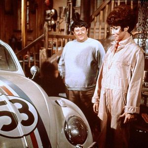 Bilder Ein toller Käfer