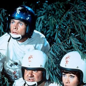 Bilder Ein toller Käfer