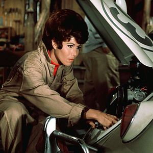 Bilder Ein toller Käfer