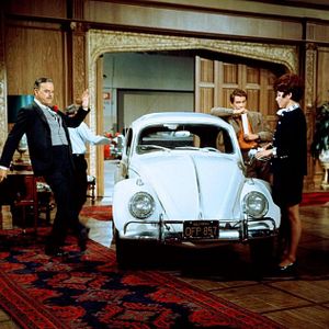 Bilder Ein toller Käfer