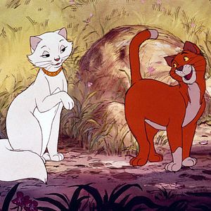 Bilder Aristocats