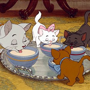 Bilder Aristocats