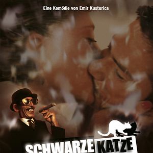 Bilder Schwarze Katze, Weißer Kater