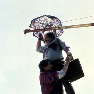 Bilder Schwarze Katze, Weißer Kater