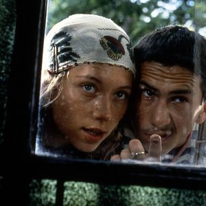 Bilder Schwarze Katze, Weißer Kater