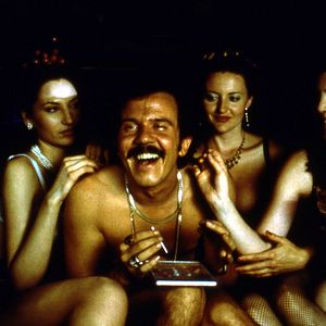 Bilder Schwarze Katze, Weißer Kater