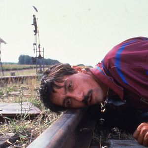 Bilder Schwarze Katze, Weißer Kater