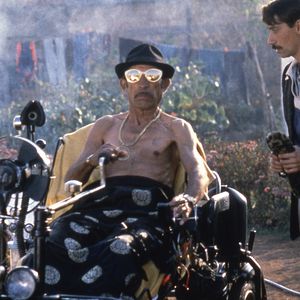 Bilder Schwarze Katze, Weißer Kater