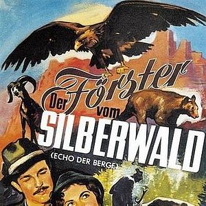 Bilder Der Förster vom Silberwald
