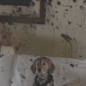 Bilder Space Buddies (TV)