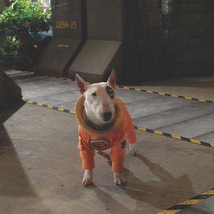 Bilder Space Buddies (TV)