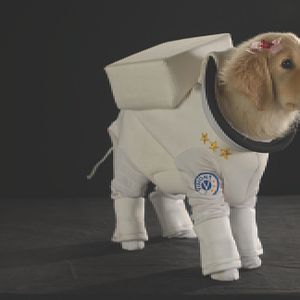 Bilder Space Buddies (TV)