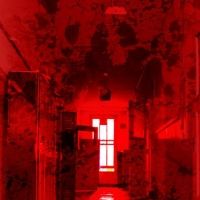 Bilder Cabin Fever 2