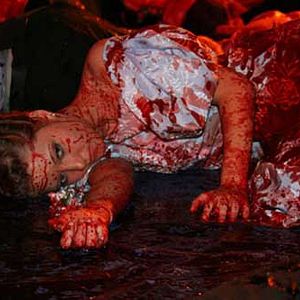 Bilder Cabin Fever 2