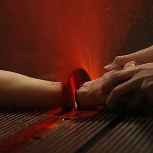 Bilder Cabin Fever 2