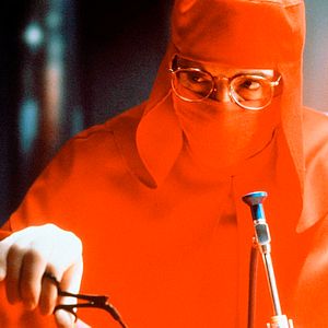 Bilder Die Unzertrennlichen