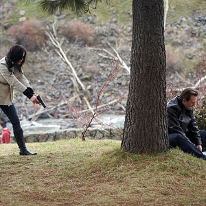 Bilder Lies & Illusions