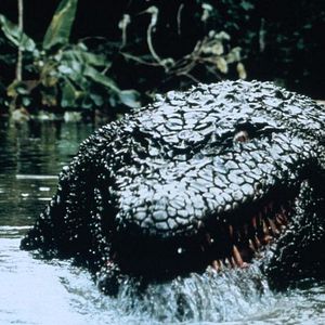 Bilder Killer Krokodil II - Die Mörderbestie