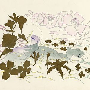 Bilder Die Tragödie der Belladonna