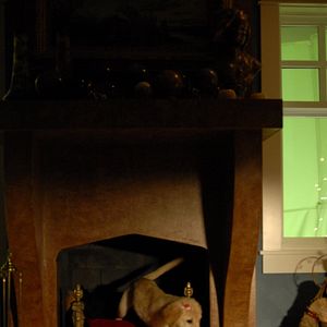 Bilder Santa Buddies - Auf der Suche nach Santa Pfote