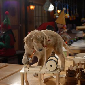 Bilder Santa Buddies - Auf der Suche nach Santa Pfote