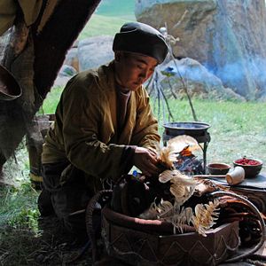 Bilder Das Lied von den zwei Pferden