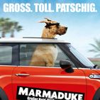Bilder Marmaduke