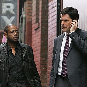 Bilder Thomas Gibson