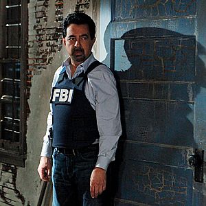 Bilder Joe Mantegna