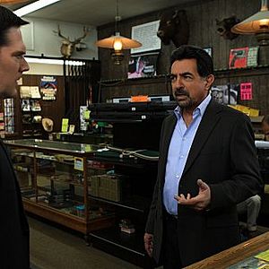 Bilder Thomas Gibson