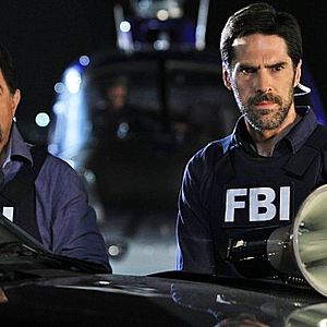 Bilder Thomas Gibson