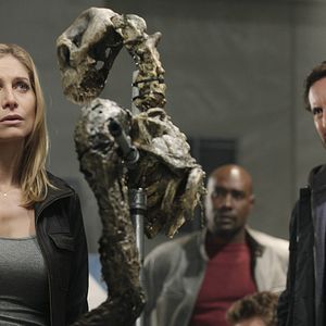 Bilder V – Die Rückkehrer